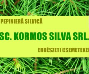 Pepiniera silvică Kormos Silva – puieți forestieri în Bațanii Mari, Covasna