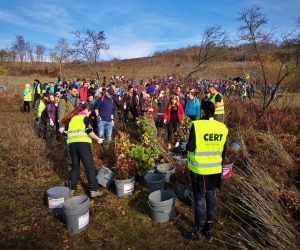 Pe 5 martie va avea loc o campanie de împădurire pe raza comunei Mărăcineni, județul Buzău