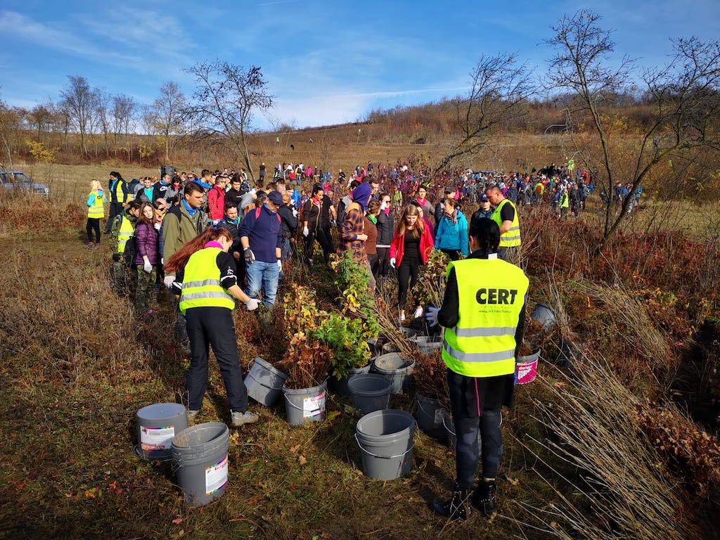 Pe 5 martie va avea loc o campanie de împădurire pe raza comunei Mărăcineni, județul Buzău