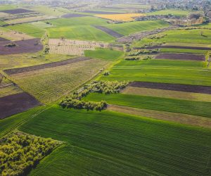 Agrosilvicultura, cultivarea carbonului și gestionarea durabilă a solului vor fi subvenționate în UE