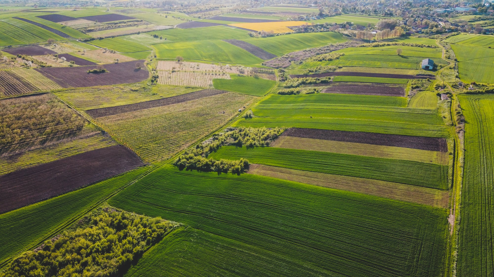 Agrosilvicultura, cultivarea carbonului și gestionarea durabilă a solului vor fi subvenționate în UE