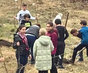 Plantări de copaci la Fizeșu Gherlii cu elevi din Gherla și Cluj-Napoca