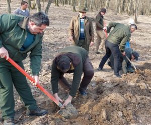 În Bihor, deschiderea oficială a Lunii plantării arborilor a avut loc în șantierul de reîmpădurire din comuna Paleu