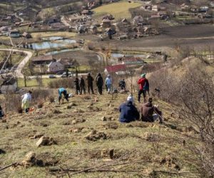 Ultima săptămână de înscrieri la campania de împădurire din această primăvară organizată de Tășuleasa Social