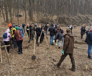 Direcția Silvică Botoșani a dat startul la „Luna plantării arborilor”