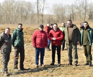 Aproape 3,5 hectare de pământ au fost plantate cu 1700 de puieți de plop în comuna Piscu Vechi din Dolj