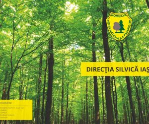 Direcția Silvică Iași a plantat 592.000 de puieți, pe 86 de hectare și a donat 31.000 de puieți forestieri în 2022
