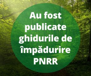 Puteți accesa fonduri PNRR pentru împădurire chiar dacă nu sunteți proprietari de terenuri