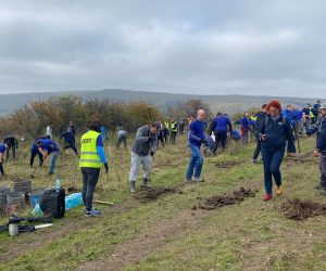 Se caută voluntari pentru plantarea a 15.000 de puieți în Moldovenești, județul Cluj