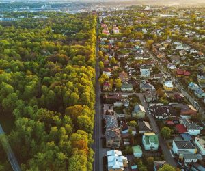 Păduri urbane – Primăria Sucevei a identificat trei locuri din oraș în care ar putea face împăduriri cu bani din PNRR