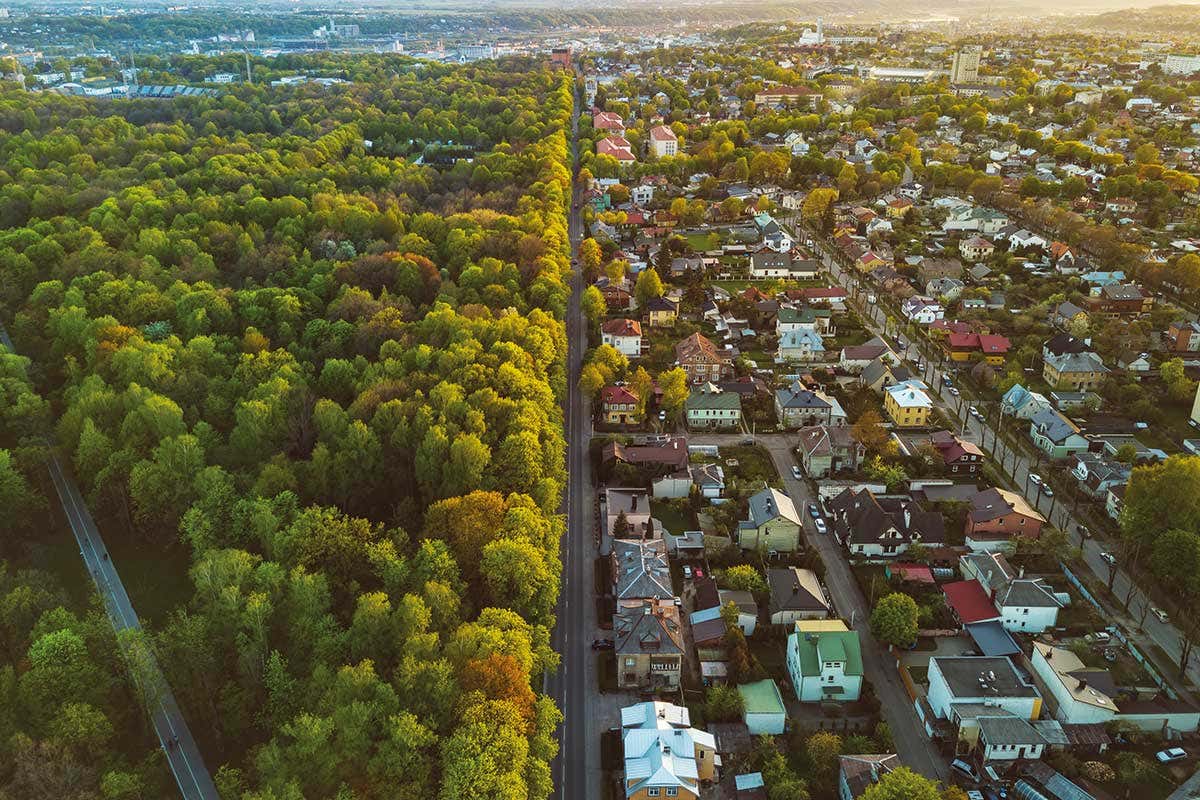 Păduri urbane – Primăria Sucevei a identificat trei locuri din oraș în care ar putea face împăduriri cu bani din PNRR