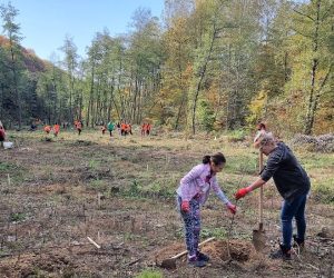 Elevi, educatori și părinți, împreună la o acțiune de plantare în comuna Stoilești, județul Vâlcea