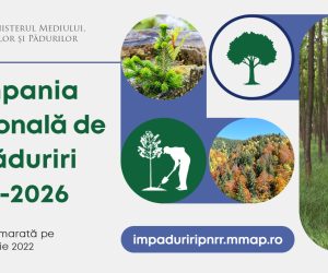 Secretarii de stat din MMAP organizează întâlniri locale privind Campania Naţională de Împăduriri 2022-2026, în toate judeţele ţării. Vezi calendarul