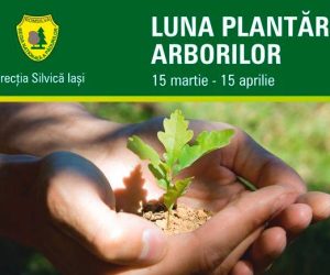 Ocoalele silvice din Iași organizează acțiuni de plantare și educare privind rolul și importanța pădurii. Voluntarii sunt bineveniți!
