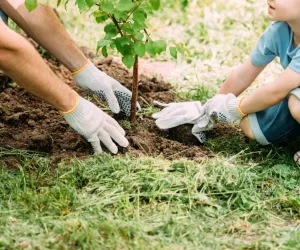 ISU Vaslui vă invită să participați la o activitate de împădurire în lunca râului Prut, pe 22 martie