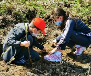 Elevii din Maramureș merg în vizită la pepinierele și șantierele de împăduriri din județ ca urmare a unui parteneriat între Inspectoratul Școlar și Direcția Silvică