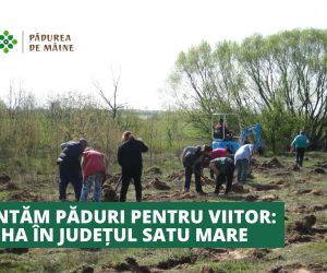 Acțiune de împădurire în județul Satu Mare: 8,95 ha în comunele Păulești și Tiream. Voluntarii sunt bineveniți!