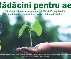 Acțiune de plantare în Pantelimon , sâmbătă, 18 martie 2023. Voluntarii sunt bineveniți!