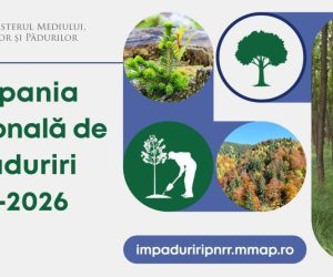 Ministrul Mediului anunță o nouă campanie de comunicare publică pentru promovarea programului de împăduriri și simplificări ale procedurilor