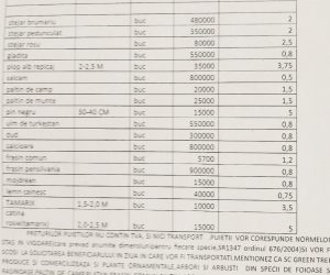 Oferta de puieți GreenTree Brăila toamna 2023 / primăvara 2024