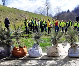 Simpozion Suceava – Cum plantăm pădurile viitorului din perspectiva schimbărilor climatice