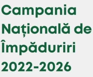 Programul de împădurire se derulează cu greutate din cauza modificărilor legislative și a procedurilor greoaie