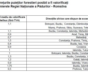 Oferta Romsilva pentru puieți forestieri – toamna 2023