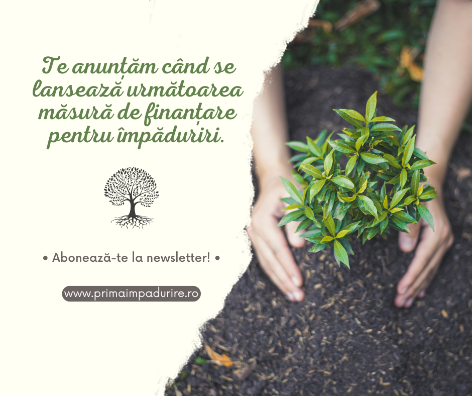 Te anunțăm când se lansează următoarea măsură de finanțare pentru împăduriri – Abonează-te la newsletter