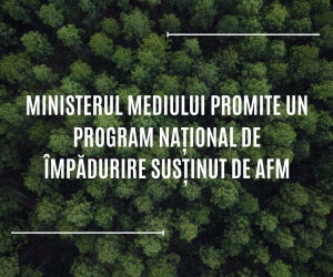 Ministerul Mediului promite un program național de împădurire susținut de AFM, începând de anul viitor, pentru proiectele care nu prind finanțare prin PNRR