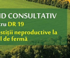Ghidului solicitantului pentru DR-19 Investiții neproductive la nivel de fermă / perdele forestiere – Propuneri și observații