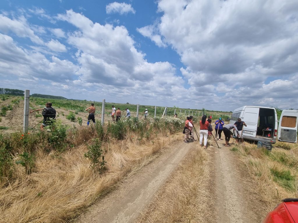 Imagine de pe grupul de Whatsapp al aplicanților la fondurile pentru împăduriri