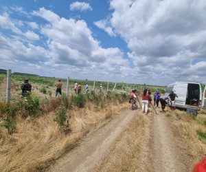 Împăduririle după PNRR: respect pentru mediu, dar și pentru oameni, condiția unui nou început în finanțarea împăduririlor