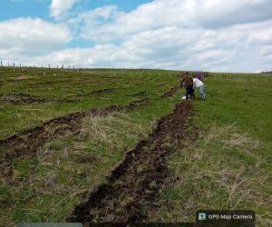 A fost realizată împădurirea unei suprafețe de 3,25 ha în județul Brasov, cu fonduri PNRR. Beneficiar Csernik Boldizsar