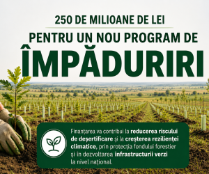 250 de milioane de lei pentru un nou program de împăduriri, finanțat de AFM