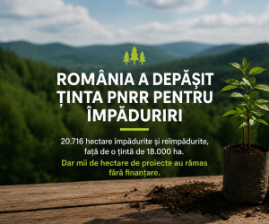 România a depășit ținta PNRR pentru împăduriri, dar 478 de proiecte, însumând peste 10.000 de hectare, nu au prins finanțare din cauza reducerii țintei și a fondurilor alocate