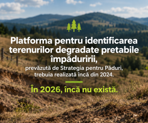 Platforma pentru identificarea terenurilor degradate pretabile împăduririi, prevăzută de Strategia pentru Păduri, trebuia realizată încă din 2024. În 2026, încă nu există.